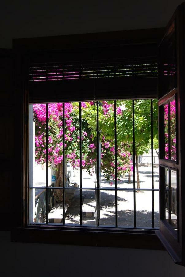 El Rincon De Elena Apartment Jerez de la Frontera Luaran gambar